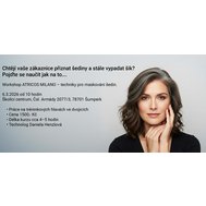 Workshop maskování šedin