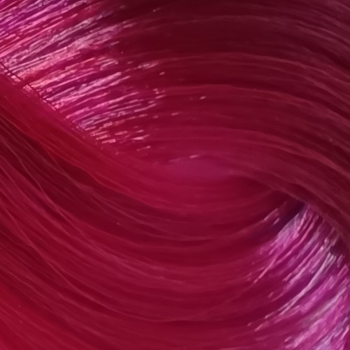 CYCLAMEN.jpg