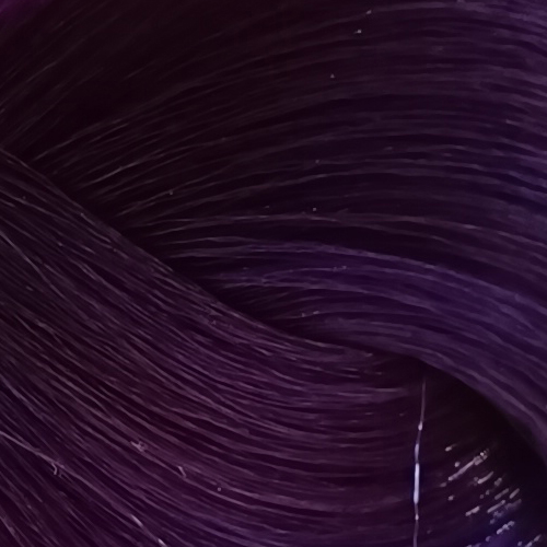 VIOLET.jpg
