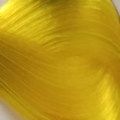 YELLOW.jpg