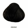 Directions Ebony 85 ml1.jpg