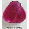 Directions Flamingo Pink 85 ml1.jpg