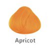 apricot.jpg