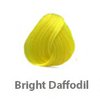 bright daffodil.jpg