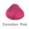 carnation pink.jpg