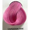 carnation pink2.jpg