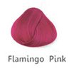 flamingo pink.jpg