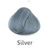 silver.jpg