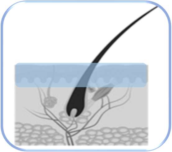 Leniplus - zklidnění