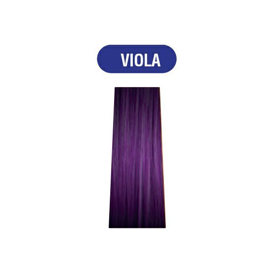 viola.jpg