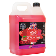 Ronney Professional Shampoo Color Protect Cherry Fragrance - Šampon s extraktem z japonské třešně 5000 ml