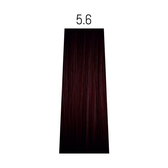 5,6.jpg