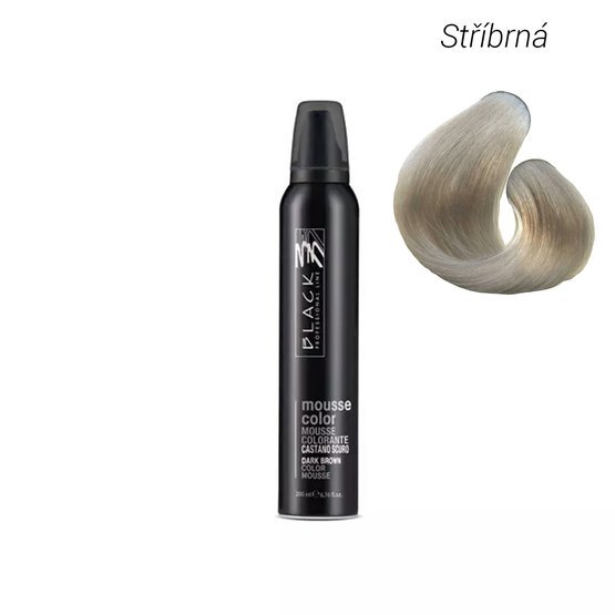 Black Mousse Color - Barevné pěnové tužidlo, stříbrná 200 ml