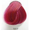 Directions Tulip 85 ml1.jpg