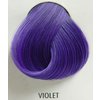 Directions Violet 85 ml1.jpg