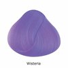 Directions Wisteria 85 ml1.jpg