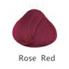 rose red.jpg