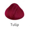 tulip.jpg