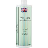 Ronney Professional Shampoo Aloe Holo Shine Star 1000 ml.jpg