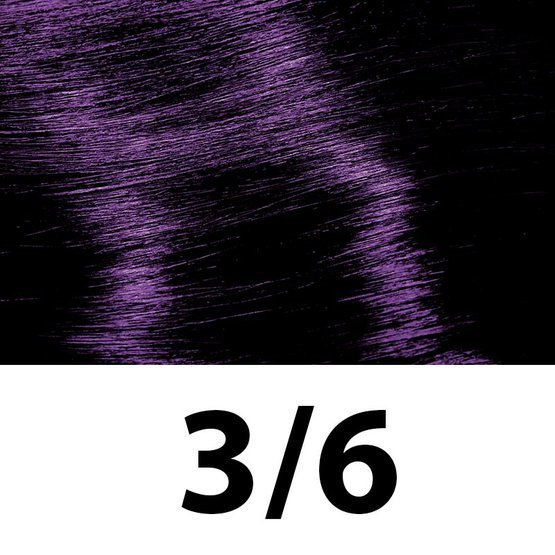 3_6.jpg