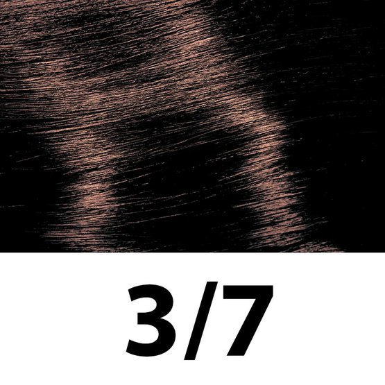 3_7.jpg