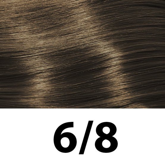 6_8.jpg